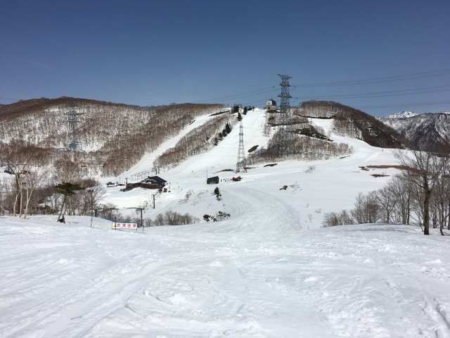 田代スキー場レディースコース